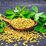 Fenugreek Seed