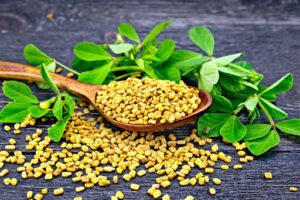 Fenugreek Seed