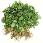 Fenugreek leave
