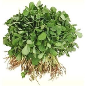 Fenugreek leave