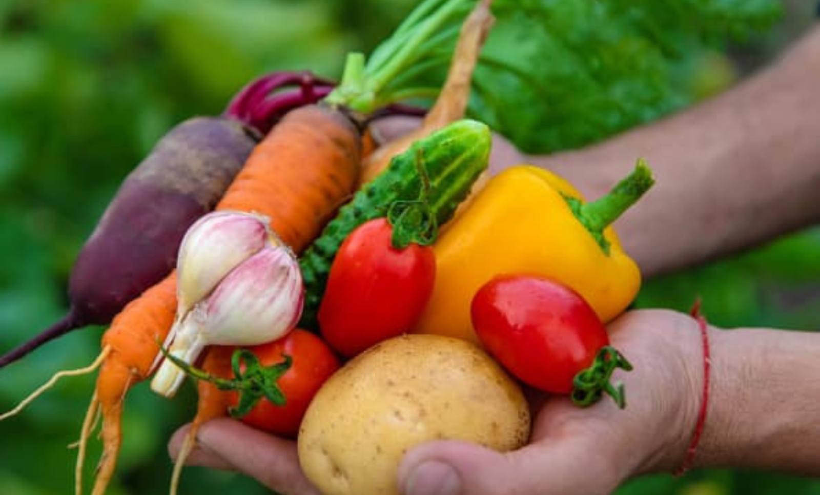 Vegetables